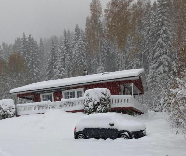 Sunne Stugcenter 12 Villa Gräsmark Eksteriør billede