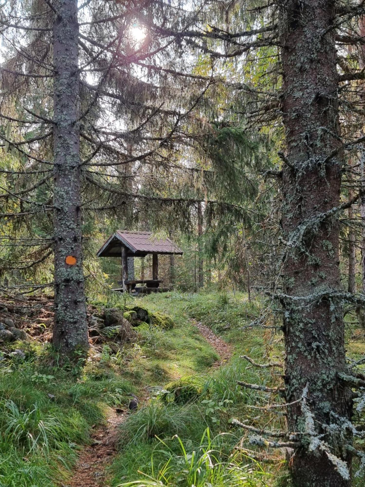 Sunne Stugcenter 12 Villa Gräsmark Eksteriør billede
